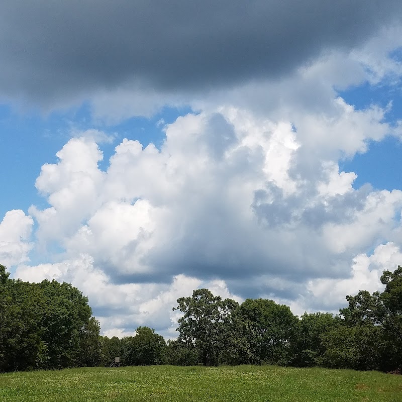 Oak Creek Whitetail Ranch - Photo 6
