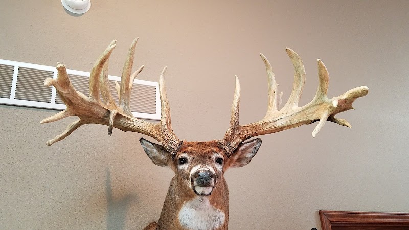 Oak Creek Whitetail Ranch - Photo 3