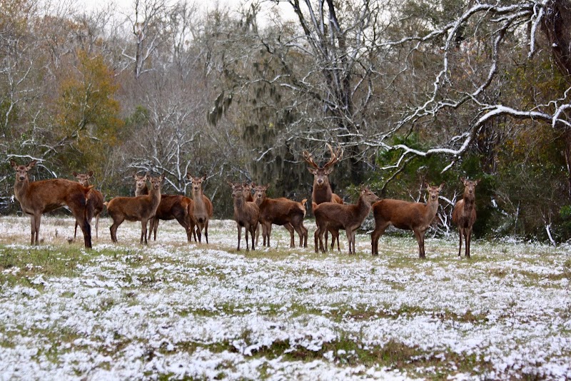 Cold Creek Ranch Texas - Photo 2