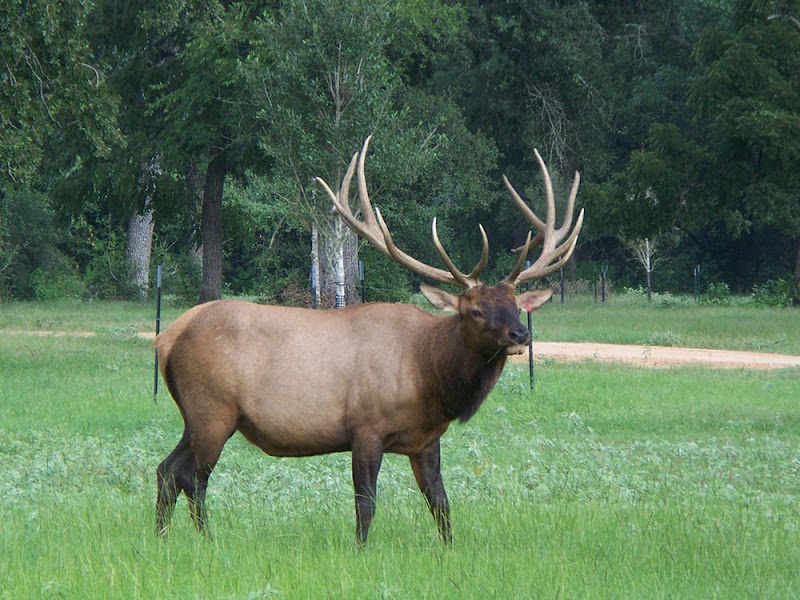 Cold Creek Ranch Texas - Photo 1