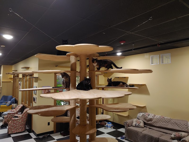 Kitty Korner Cafe photo 1