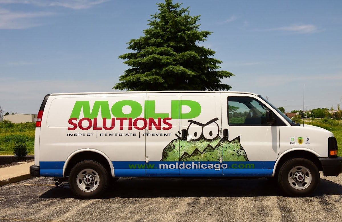 Mold Solutions — photo
