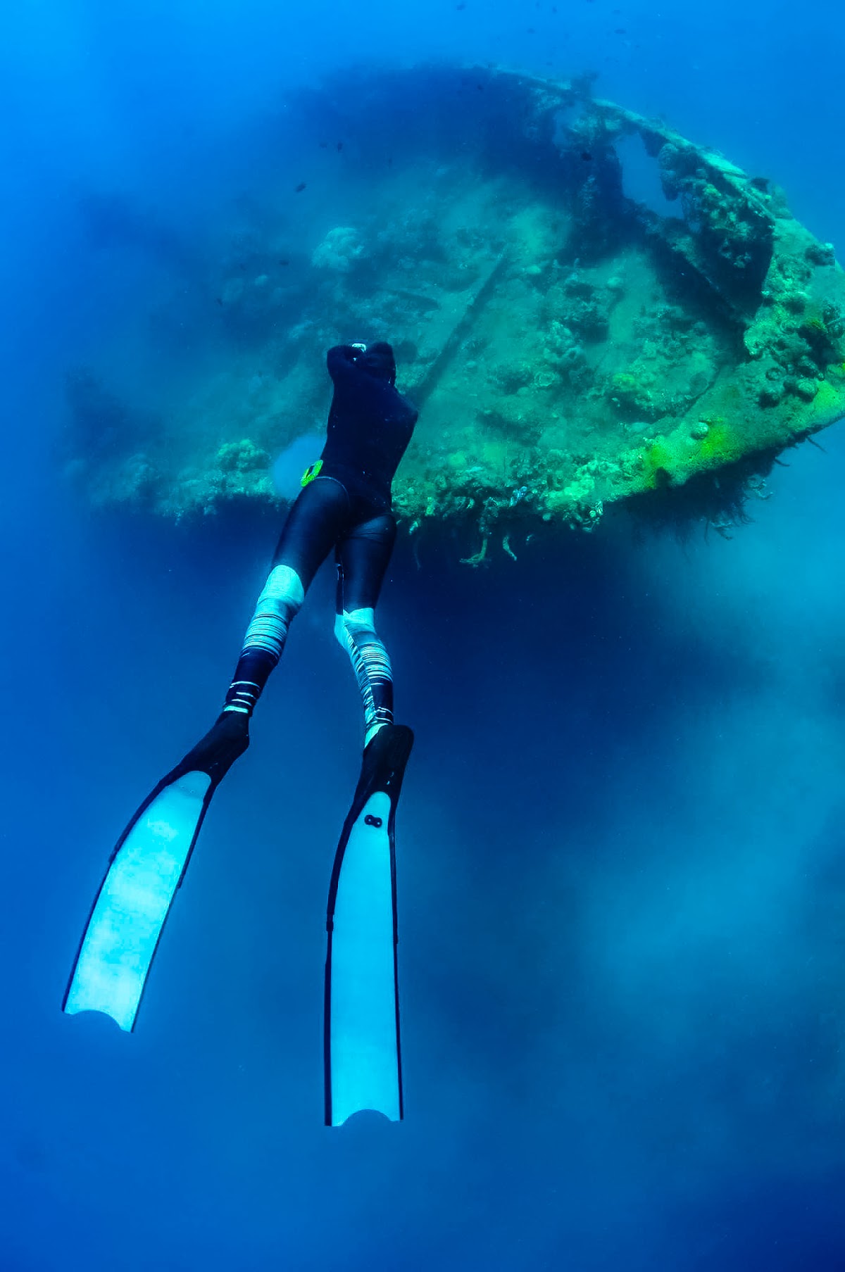 Orenda Freediving & Island Cruises — 4