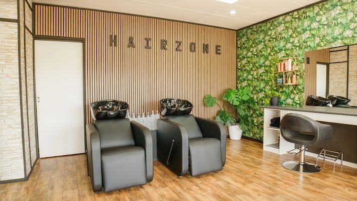 HAIRZONE