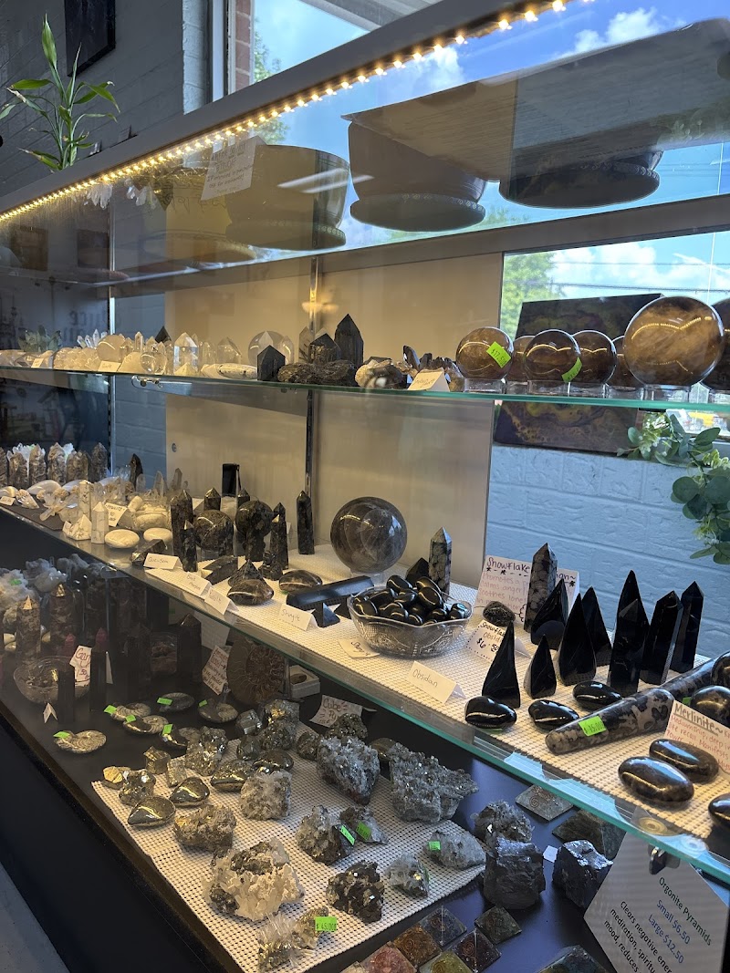 Got Books photo 4