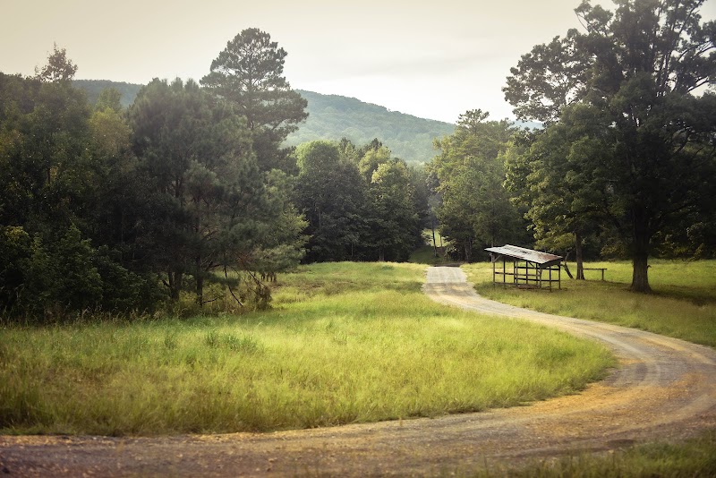 Willow Oak Lodge - Photo 2