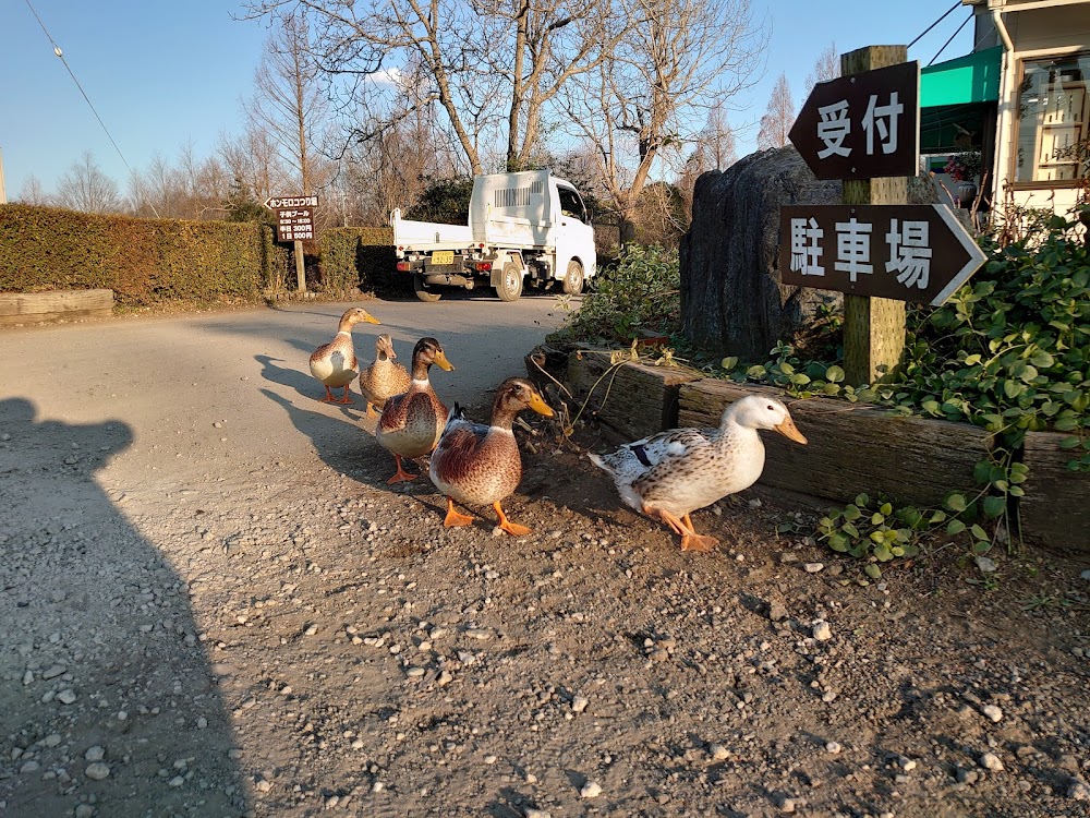 イレブンオートキャンプパーク