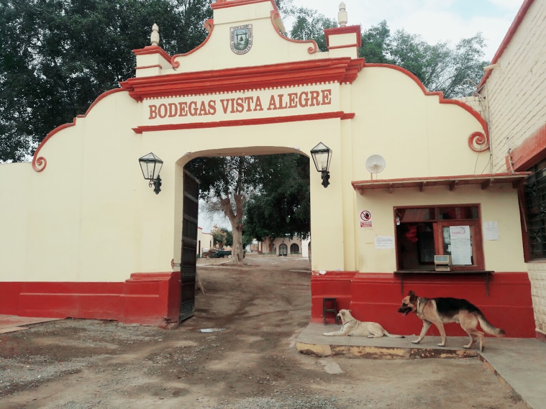 Bodegas Vista Alegre