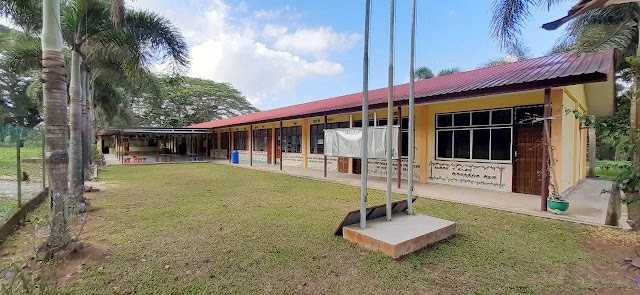 SJK(T) LADANG ELAEIS photo 3