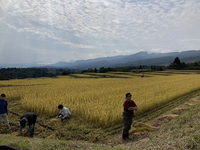 蛍の宿を守る会の田んぼ