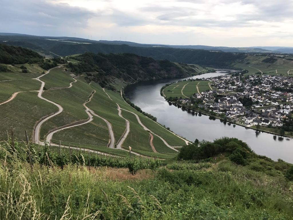 Weingut Meuren-Breit