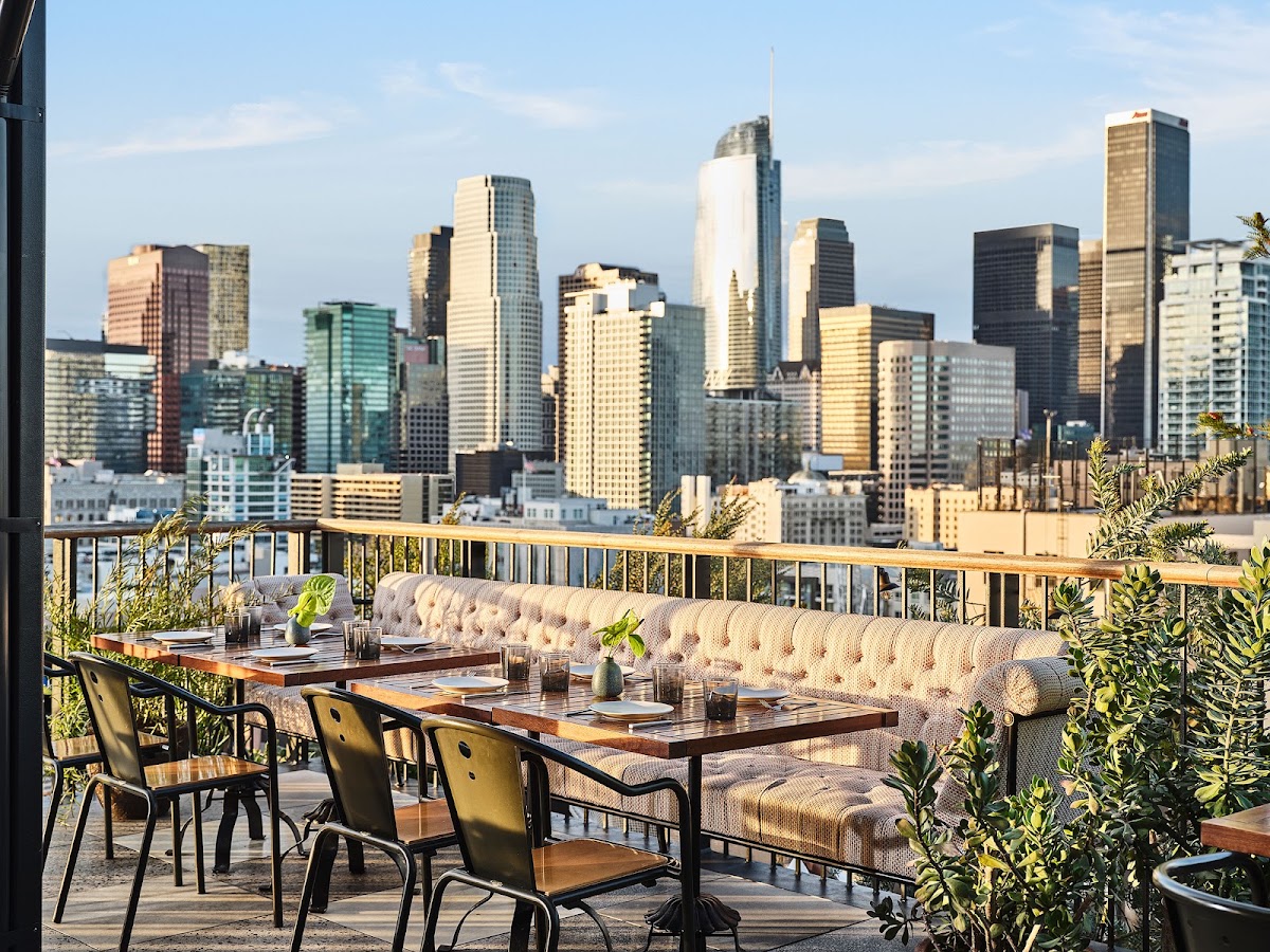 Downtown Los Angeles Proper Hotel, dog-friendly hotel, photo 5