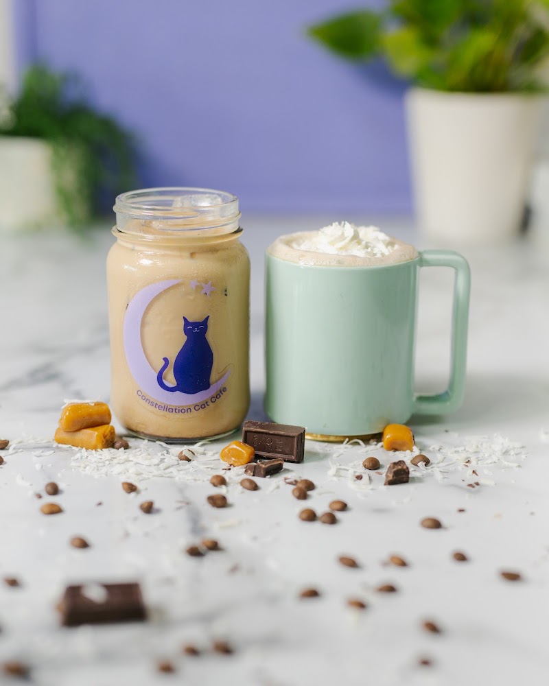 Constellation Cat Cafe photo 4