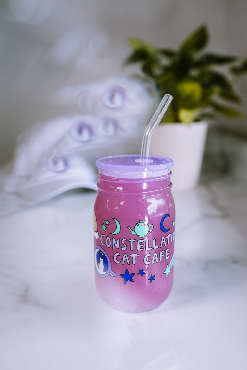 Constellation Cat Cafe photo 1