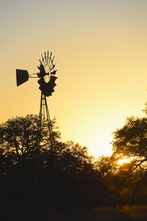 The JL Bar Ranch, Resort & Spa - Photo 5
