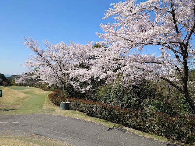 Sun Classic Golf Club - Photo 9