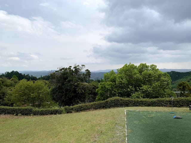 Sun Classic Golf Club - Photo 10