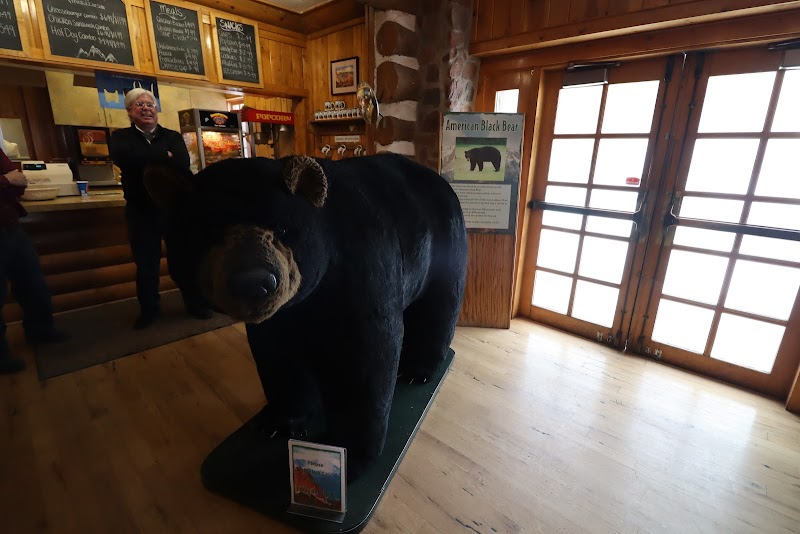 Timberline Cafe photo 3