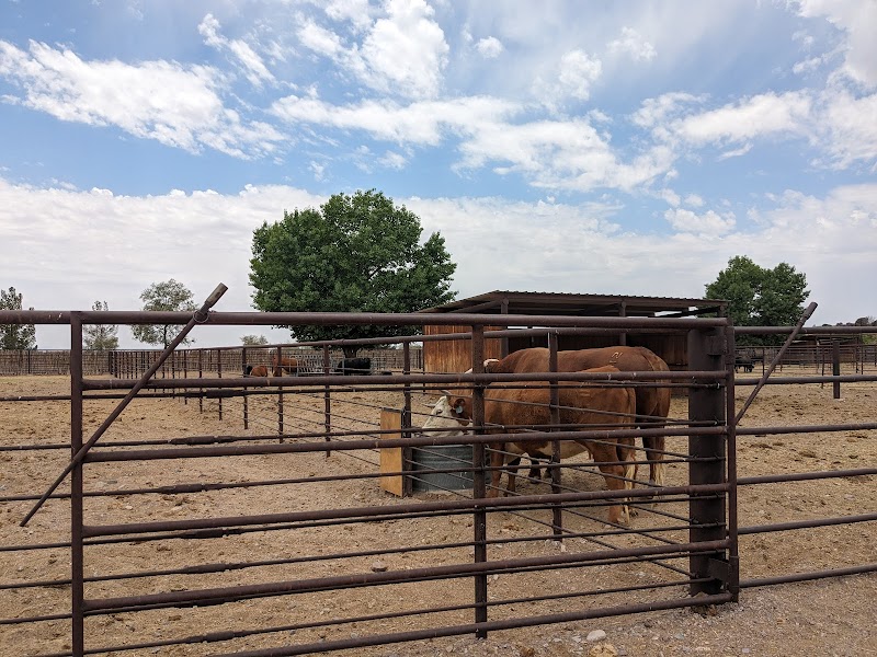 New Mexico Farm & Ranch Heritage Museum - Photo 6