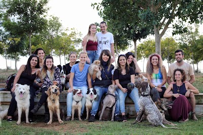 מאי דוג, לימודי אילוף כלבים בצפון