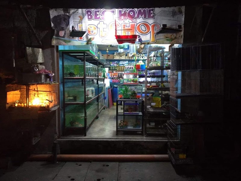 Best Home Petshop
