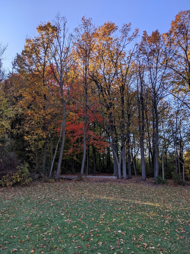 Abendschein Disc Golf Course photo 4