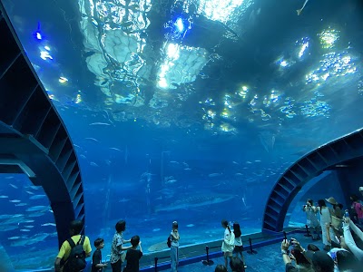 沖縄美ら海水族館