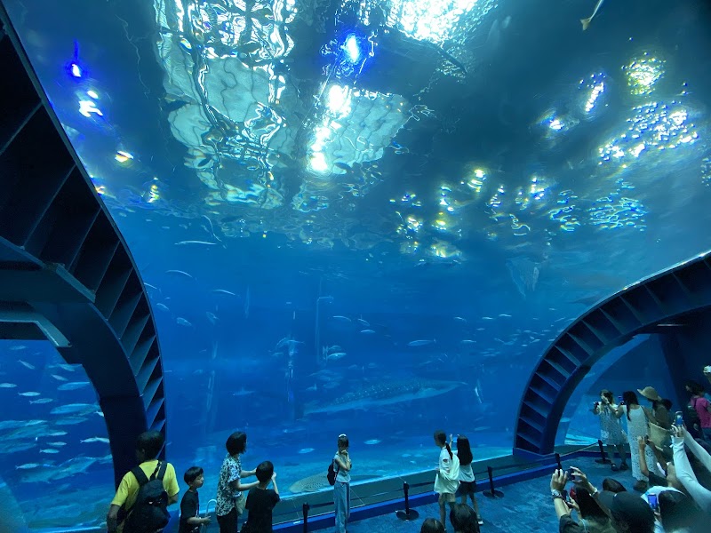 沖縄美ら海水族館