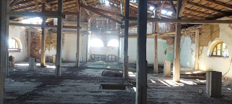 Кирха Юргайтшена — фото 5