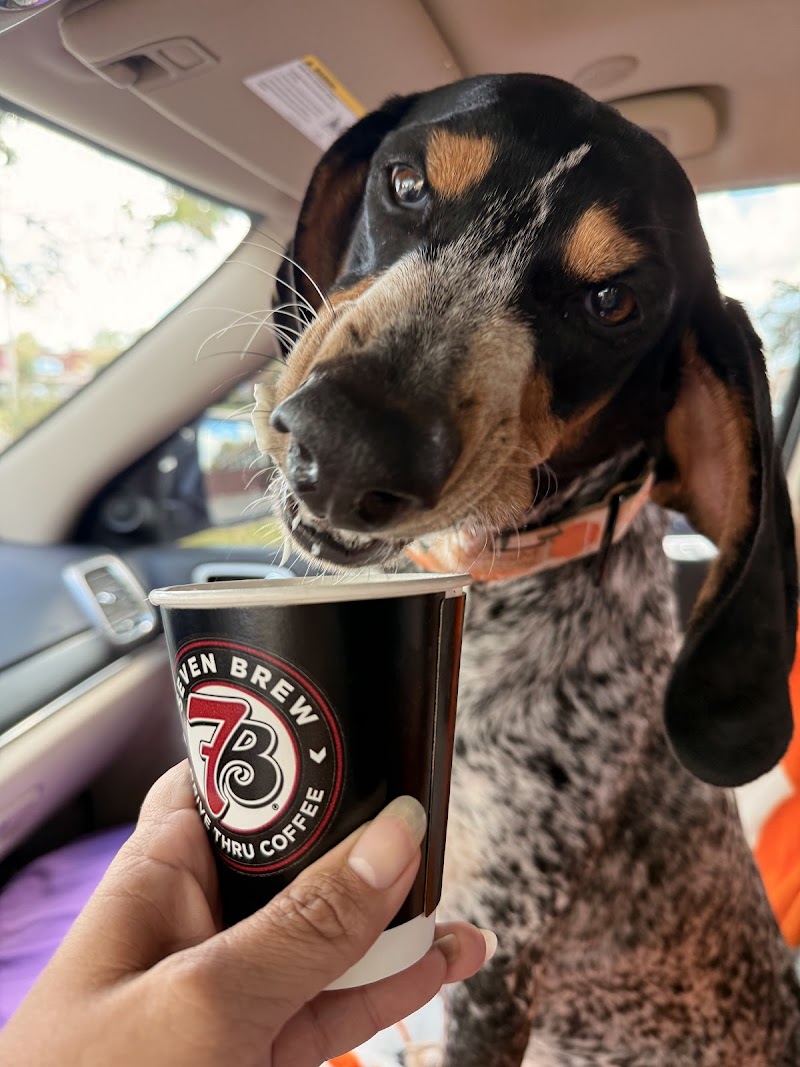 7 Brew Coffee photo 4