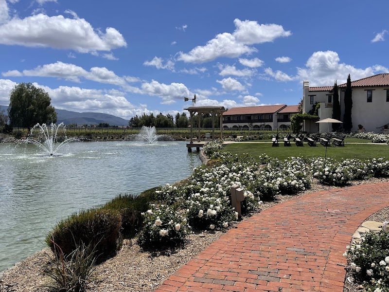 Ponte Winery Weddings