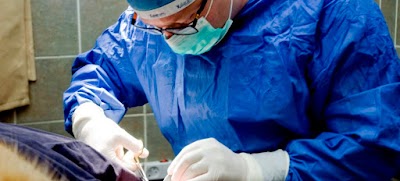 בית חולים וטרינרי עם וטרינר חירום - וט סנטר ראש העין