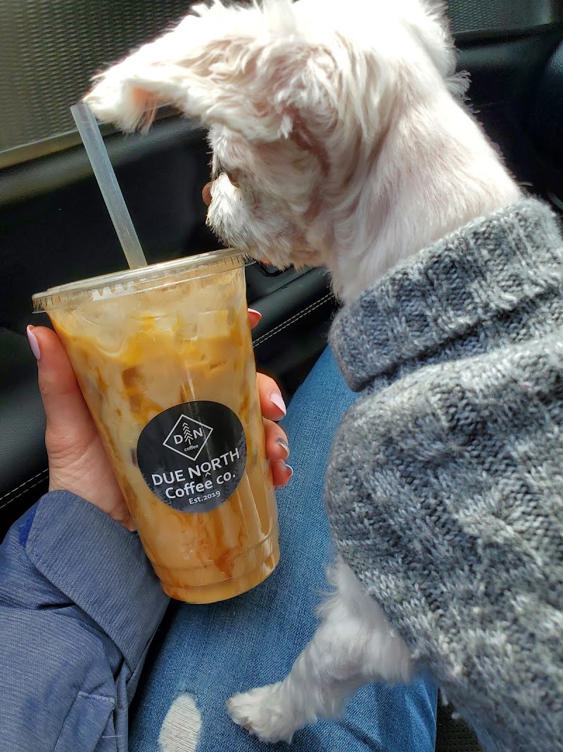 Due North Coffee Co. photo 2