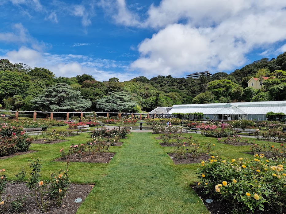 Wellington Botanic Garden fotoğraf 1