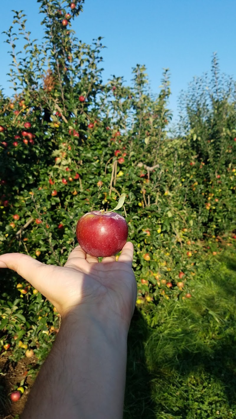 Connors Farm - Photo 5