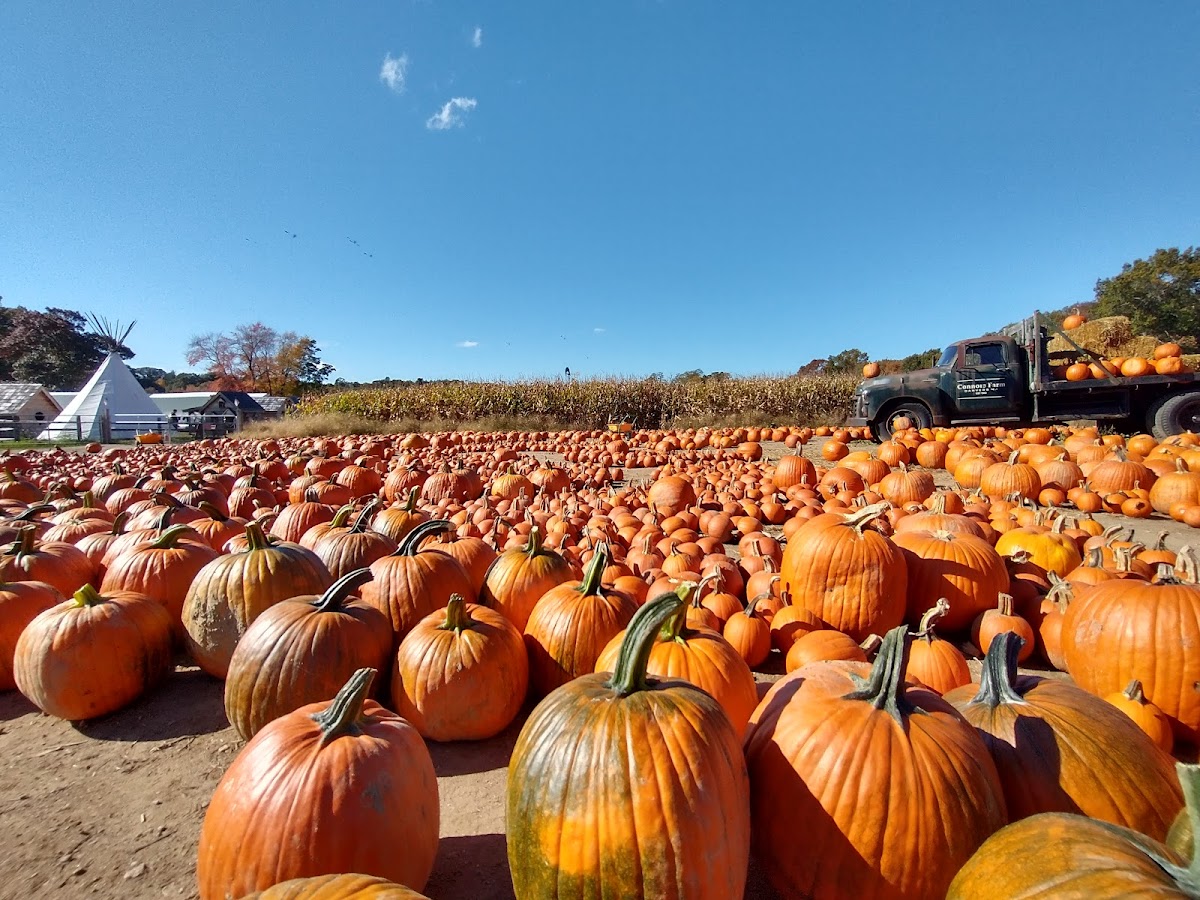 Connors Farm