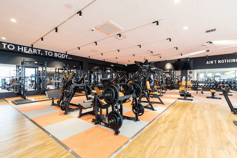 フィットイージー 新潟赤道店 2