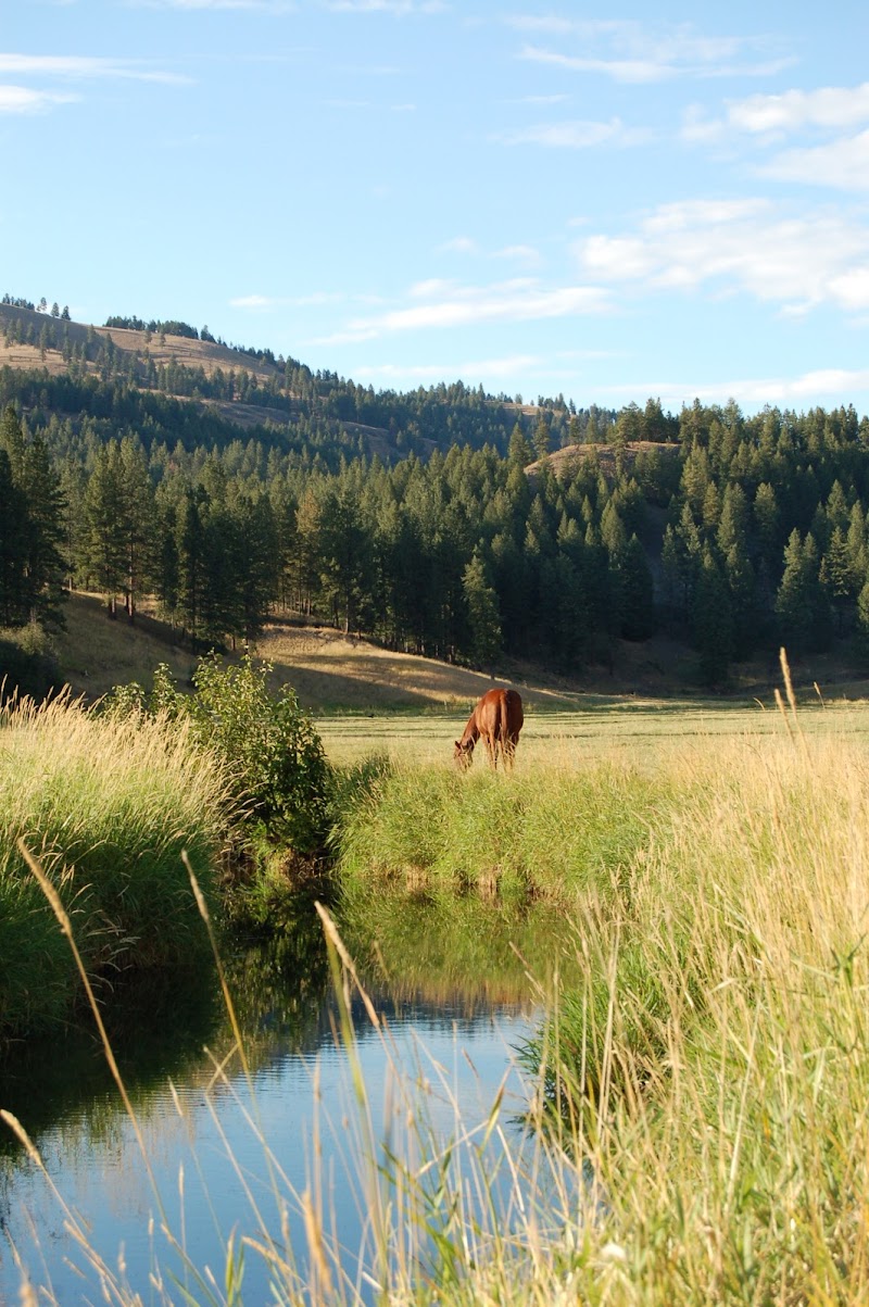 K-Diamond-K Guest Ranch - Photo 4