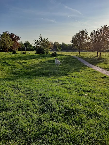 Queens Road Park