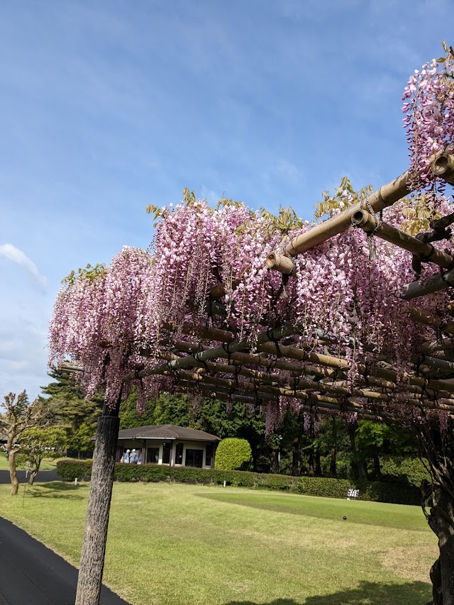 Fujigaya Country Club - Photo 6