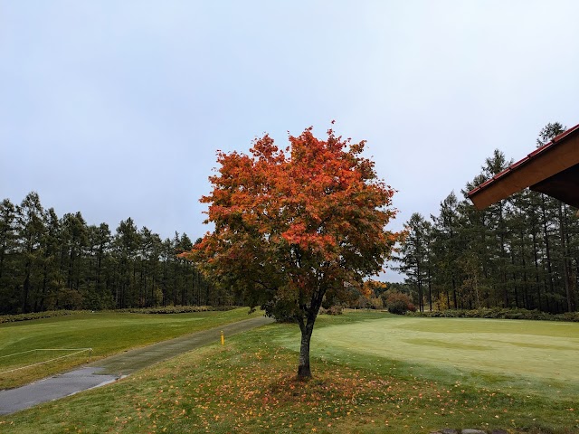 Furano Golf Course - Photo 8