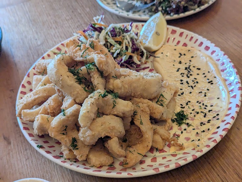 Gracie Greco photo 10