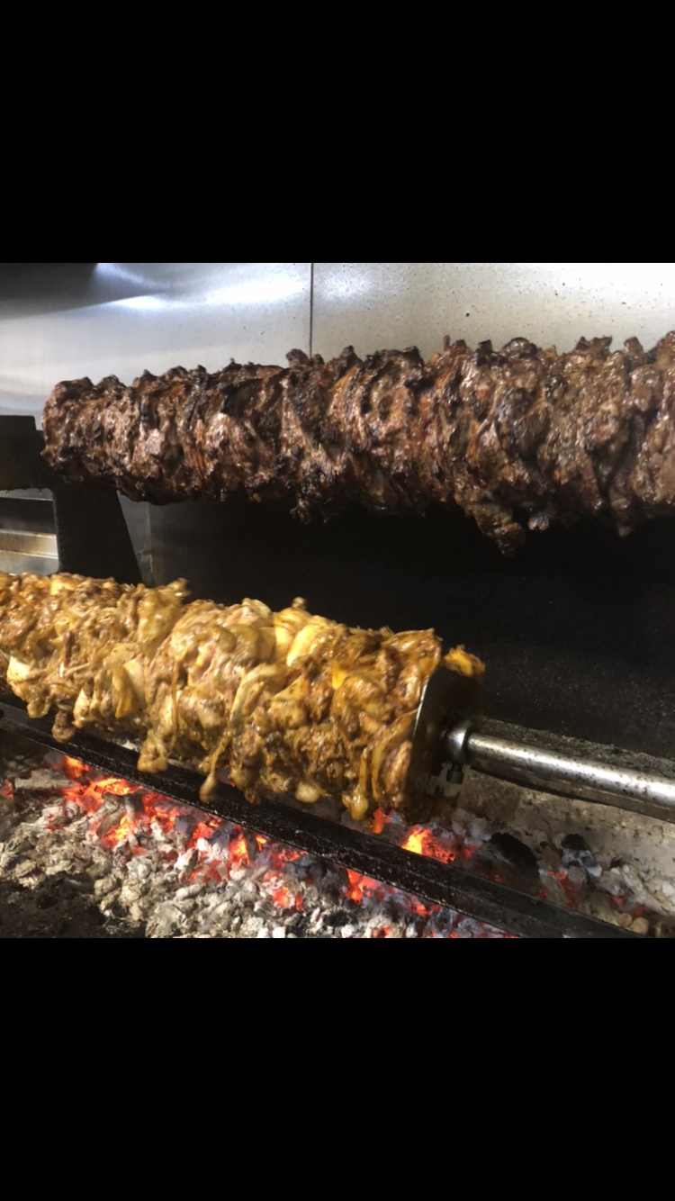 Gracie Greco photo 2