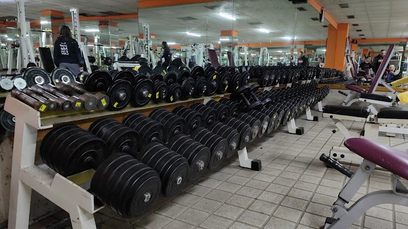 Platinum Gym
