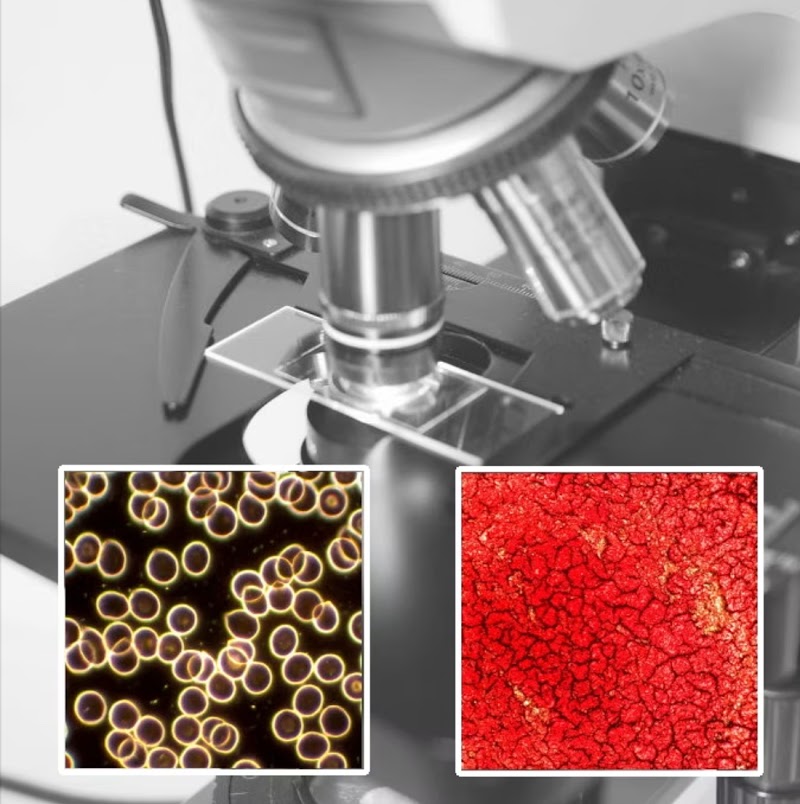 Ladyjo s / gift shop / holistic wellness clinic / window treatments & custom blinds photo 2