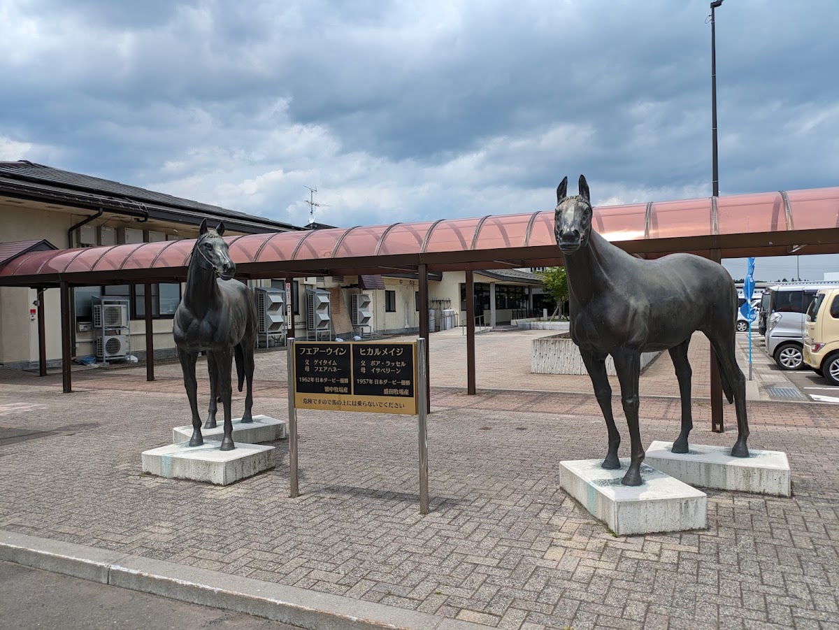 道の駅しちのへ