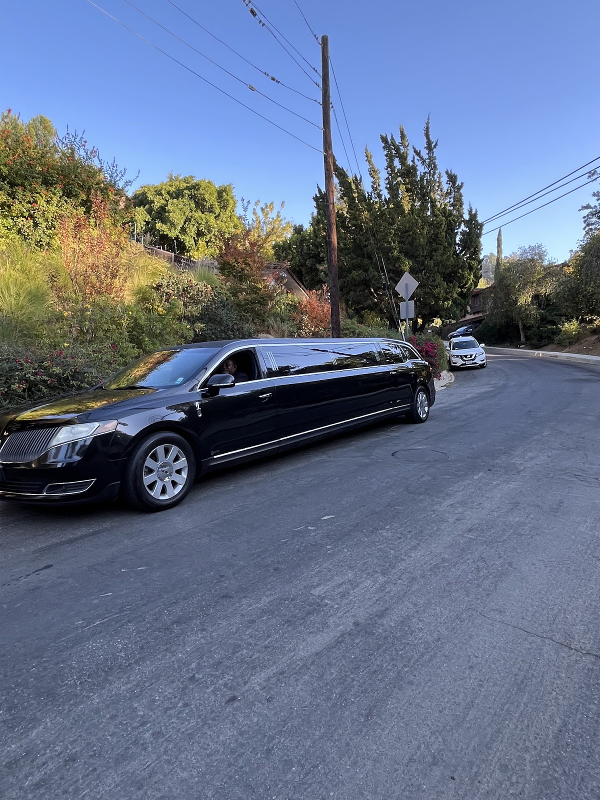 Crown Limousine: Google Places image 2