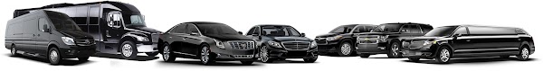 Crown Limousine portfolio