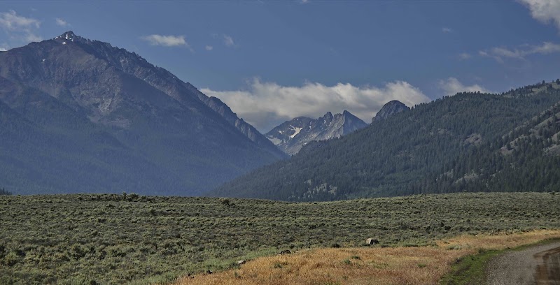 Wild Horse Creek Ranch - Photo 6