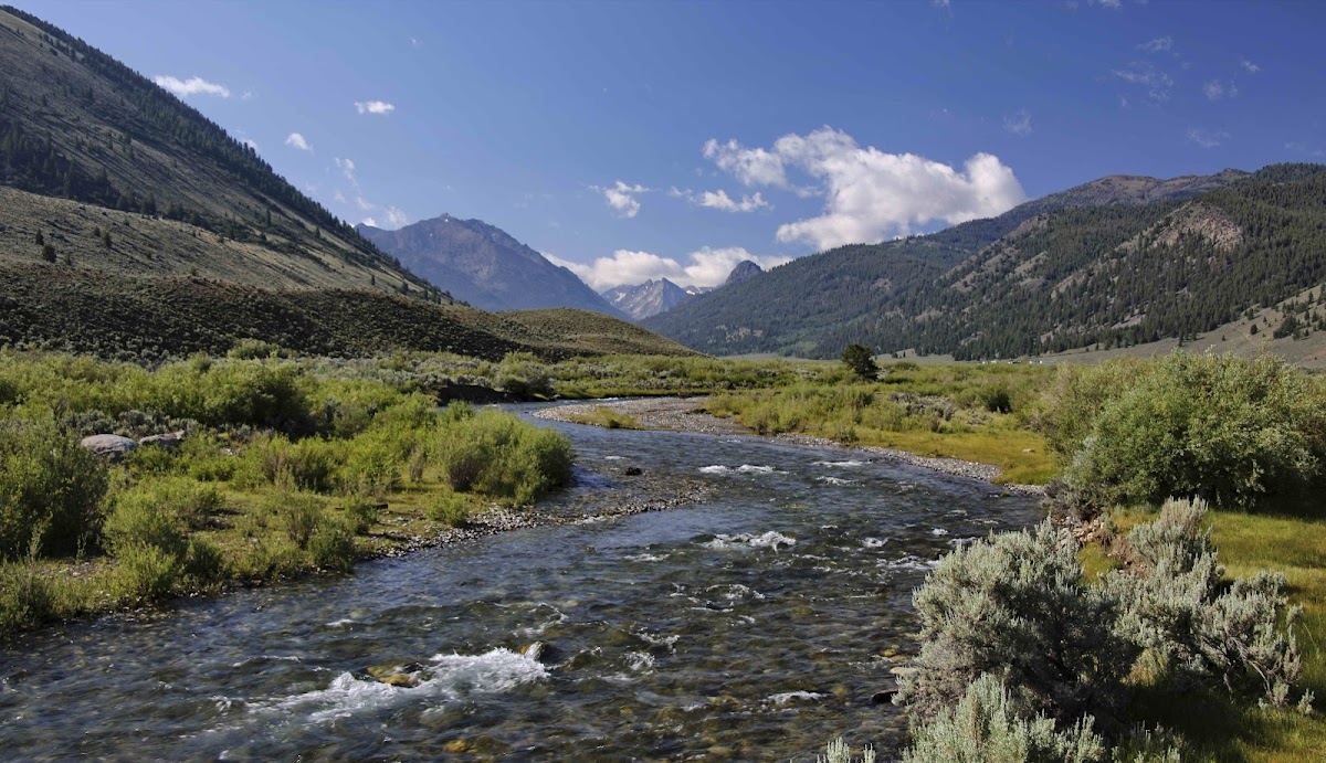 Wild Horse Creek Ranch